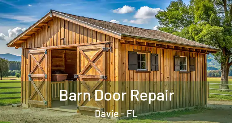  Barn Door Repair Davie - FL