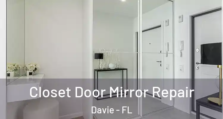  Closet Door Mirror Repair Davie - FL