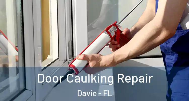  Door Caulking Repair Davie - FL