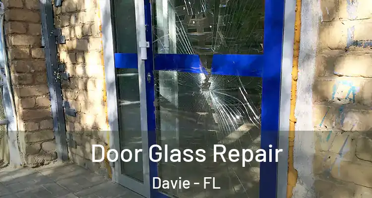  Door Glass Repair Davie - FL