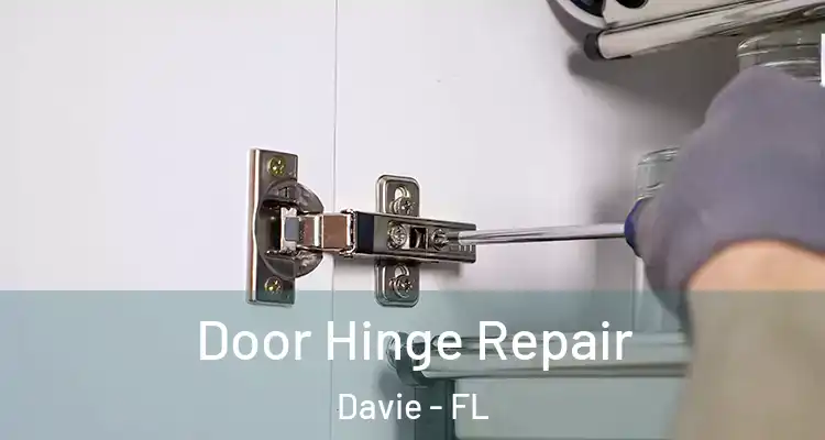  Door Hinge Repair Davie - FL