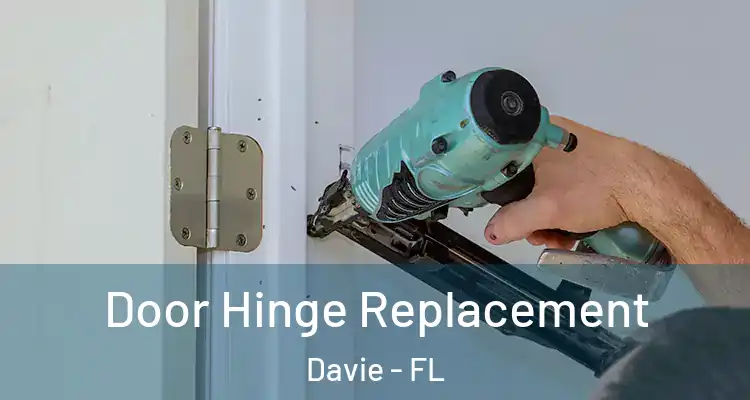  Door Hinge Replacement Davie - FL