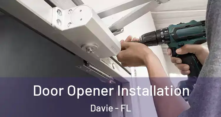  Door Opener Installation Davie - FL