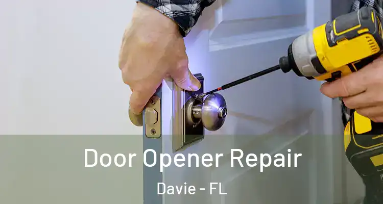  Door Opener Repair Davie - FL