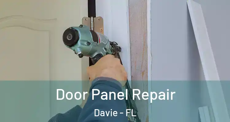  Door Panel Repair Davie - FL