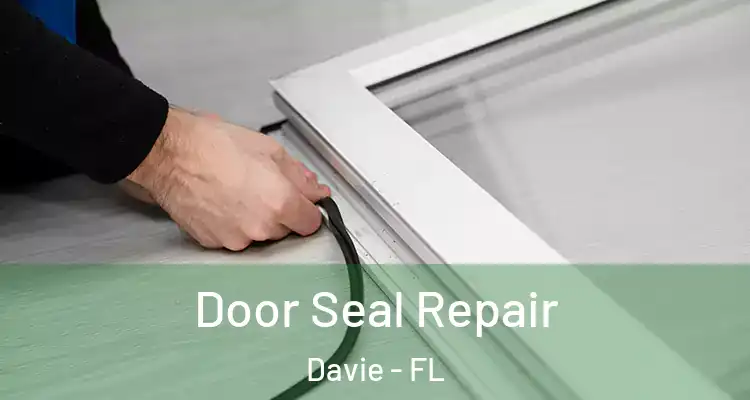  Door Seal Repair Davie - FL