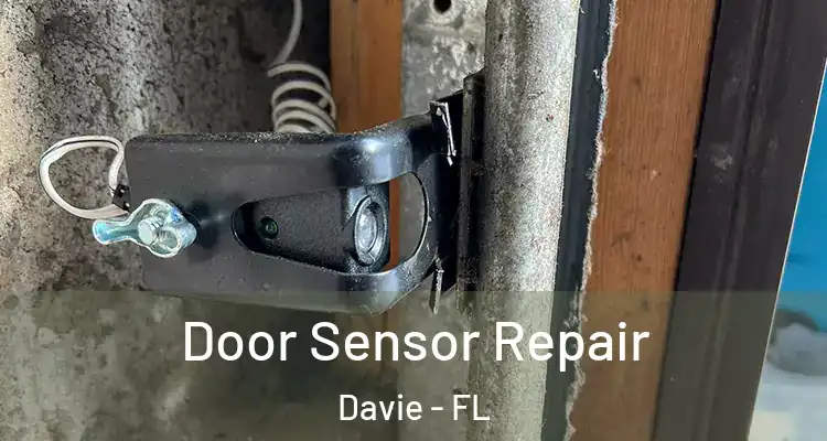  Door Sensor Repair Davie - FL