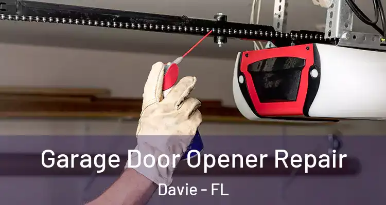  Garage Door Opener Repair Davie - FL