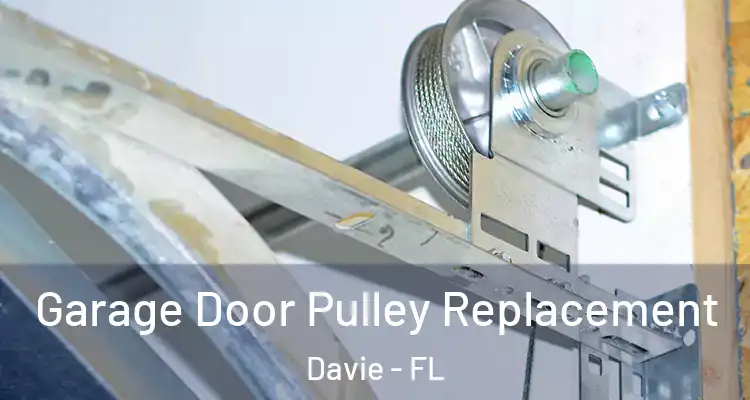  Garage Door Pulley Replacement Davie - FL
