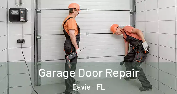  Garage Door Repair Davie - FL