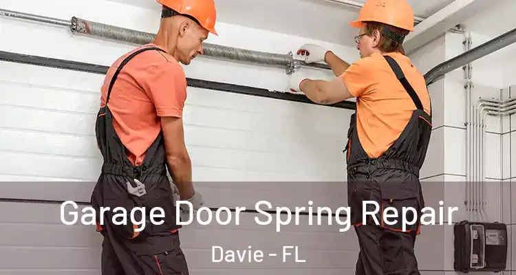  Garage Door Spring Repair Davie - FL