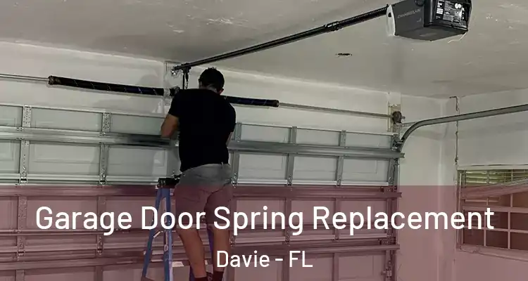  Garage Door Spring Replacement Davie - FL