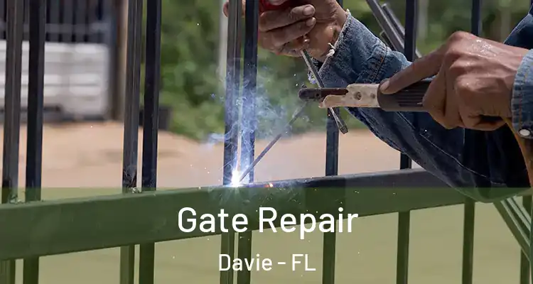  Gate Repair Davie - FL