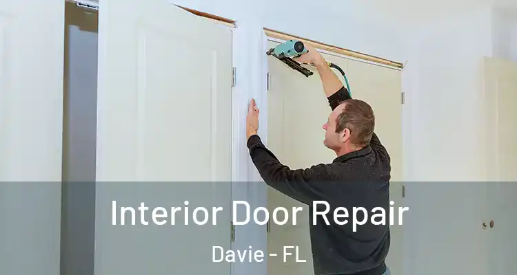  Interior Door Repair Davie - FL
