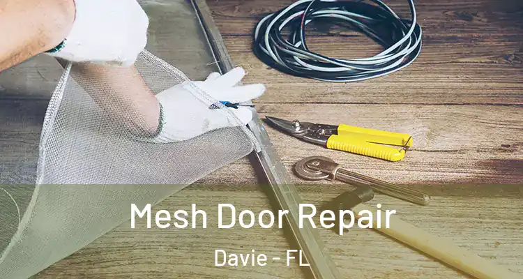  Mesh Door Repair Davie - FL