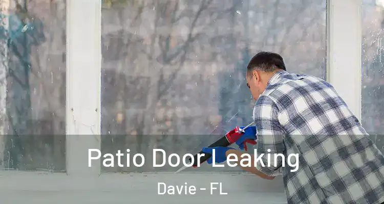  Patio Door Leaking Davie - FL