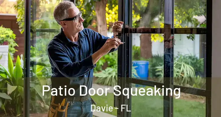  Patio Door Squeaking Davie - FL