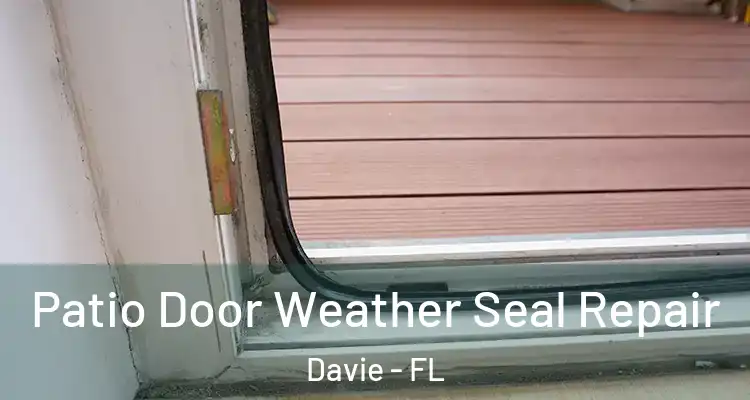  Patio Door Weather Seal Repair Davie - FL