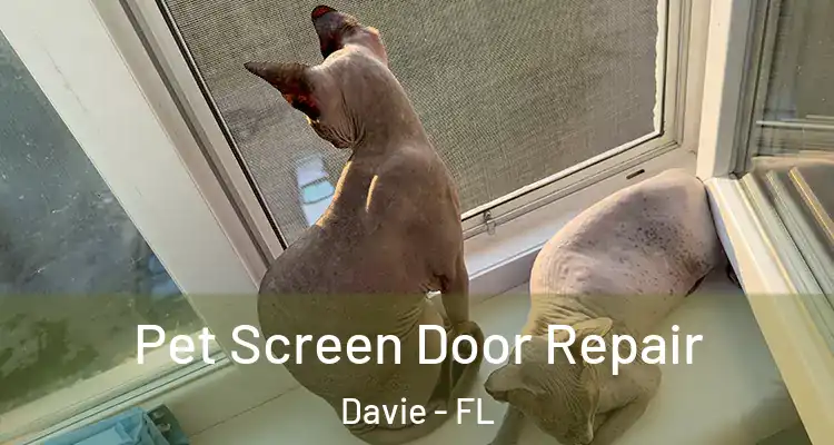  Pet Screen Door Repair Davie - FL