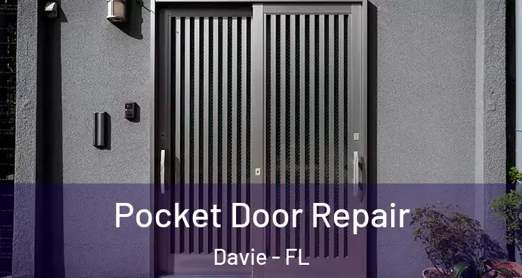  Pocket Door Repair Davie - FL