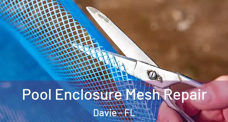  Pool Enclosure Mesh Repair Davie - FL
