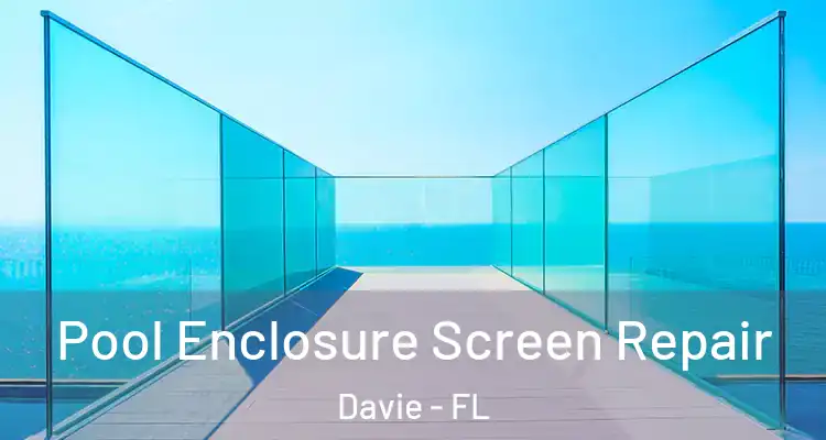  Pool Enclosure Screen Repair Davie - FL