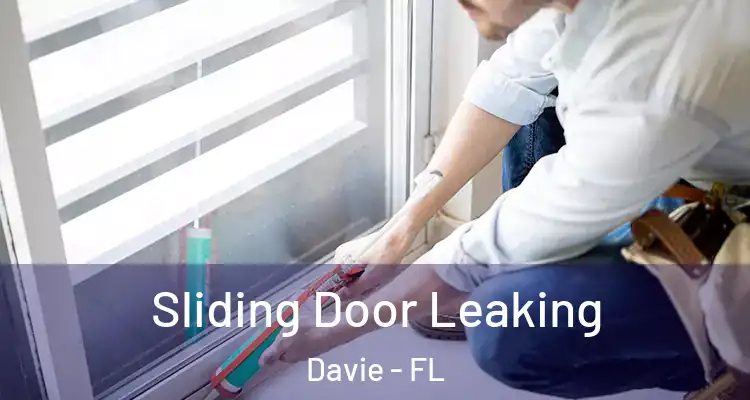  Sliding Door Leaking Davie - FL