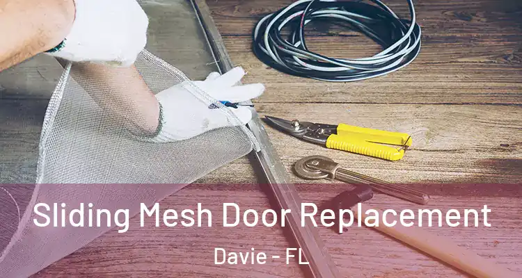  Sliding Mesh Door Replacement Davie - FL