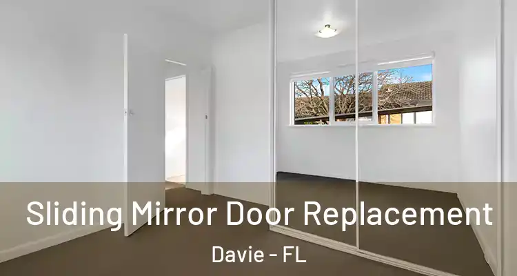  Sliding Mirror Door Replacement Davie - FL