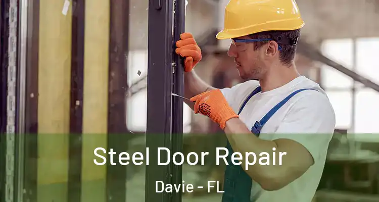  Steel Door Repair Davie - FL