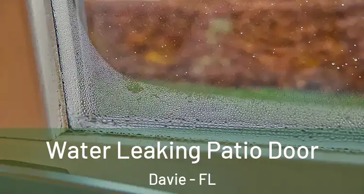  Water Leaking Patio Door Davie - FL