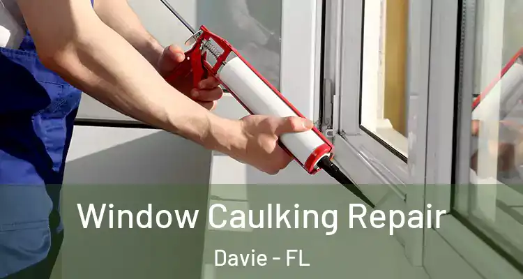  Window Caulking Repair Davie - FL