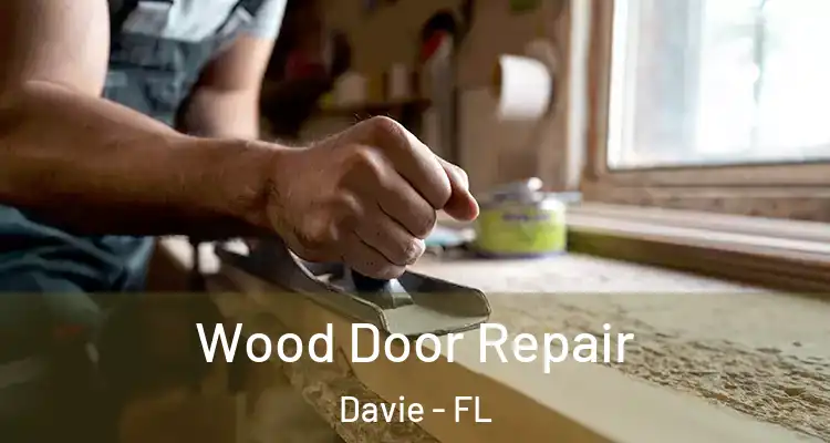  Wood Door Repair Davie - FL